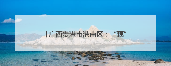 广西贵港市港南区：“藕”遇丰收季 泥中“掘金”忙