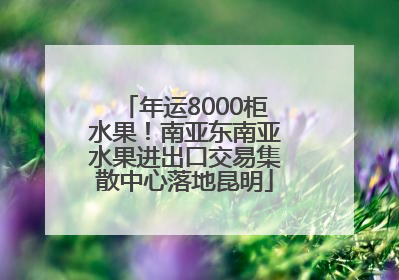 年运8000柜水果！南亚东南亚水果进出口交易集散中心落地昆明
