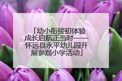 幼小衔接初体验 成长启航正当时——怀远县永平幼儿园开展参观小学活动