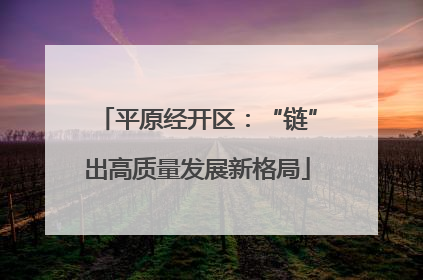 平原经开区：“链”出高质量发展新格局