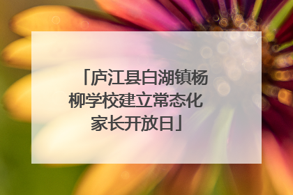 庐江县白湖镇杨柳学校建立常态化家长开放日
