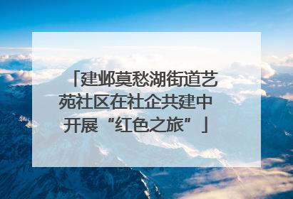 建邺莫愁湖街道艺苑社区在社企共建中开展“红色之旅”