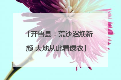 开鲁县：荒沙沼焕新颜 大地从此着绿衣