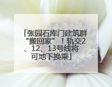 张园石库门建筑群“搬回家”！轨交2、12、13号线将可地下换乘