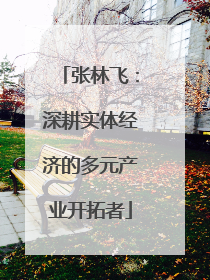 张林飞：深耕实体经济的多元产业开拓者