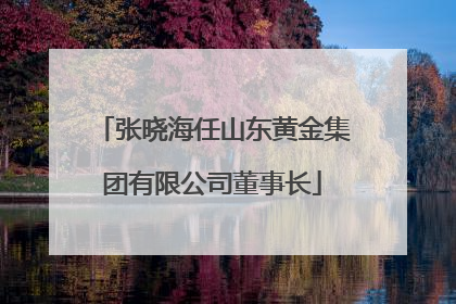 张晓海任山东黄金集团有限公司董事长