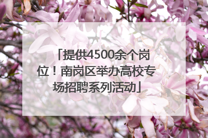 提供4500余个岗位！南岗区举办高校专场招聘系列活动