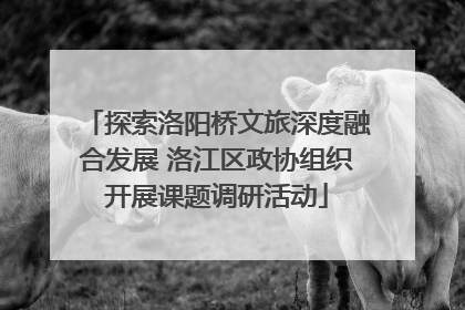探索洛阳桥文旅深度融合发展 洛江区政协组织开展课题调研活动