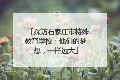 探访石家庄市特殊教育学校：他们的梦想，一样远大