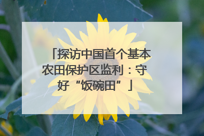 探访中国首个基本农田保护区监利：守好“饭碗田”