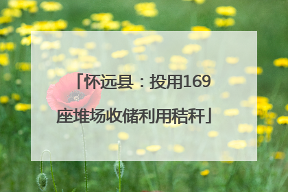 怀远县：投用169座堆场收储利用秸秆