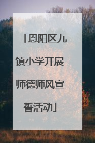 恩阳区九镇小学开展师德师风宣誓活动