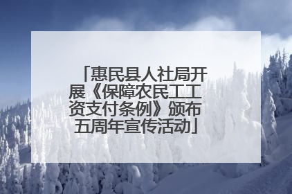 惠民县人社局开展《保障农民工工资支付条例》颁布五周年宣传活动