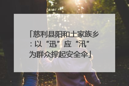 慈利县阳和土家族乡：以“迅”应“汛” 为群众撑起安全伞