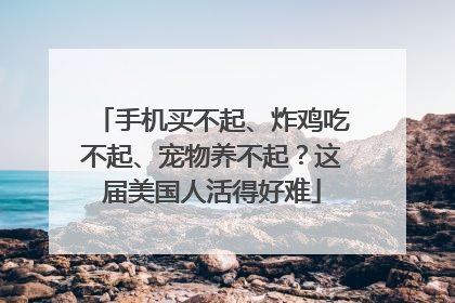 手机买不起、炸鸡吃不起、宠物养不起？这届美国人活得好难