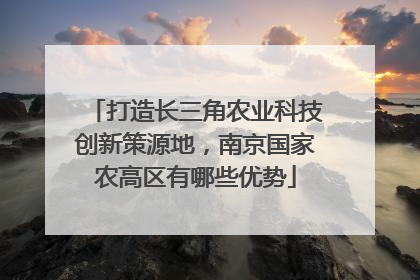 打造长三角农业科技创新策源地，南京国家农高区有哪些优势