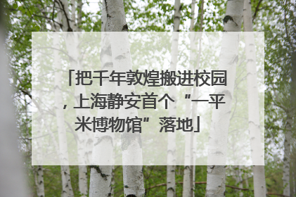 把千年敦煌搬进校园，上海静安首个“一平米博物馆”落地