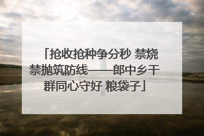 抢收抢种争分秒 禁烧禁抛筑防线——郎中乡干群同心守好 粮袋子