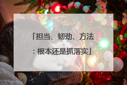 担当、韧劲、方法：根本还是抓落实