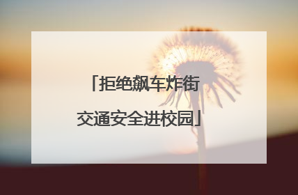 拒绝飙车炸街 交通安全进校园