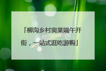 柳沟乡村奥莱端午开街，一站式逛吃游购