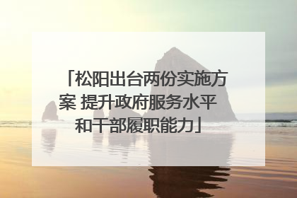 松阳出台两份实施方案 提升政府服务水平和干部履职能力