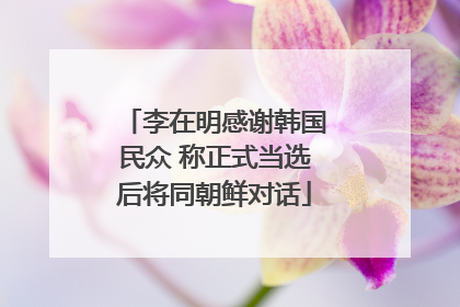 李在明感谢韩国民众 称正式当选后将同朝鲜对话