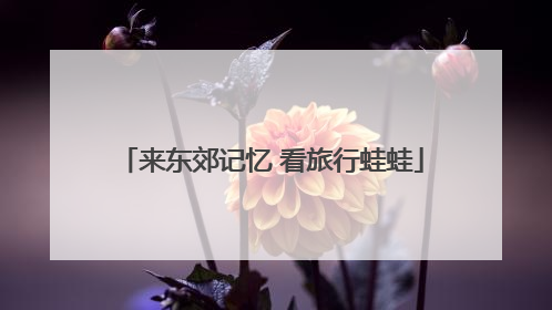 来东郊记忆 看旅行蛙蛙