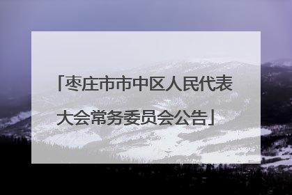 枣庄市市中区人民代表大会常务委员会公告