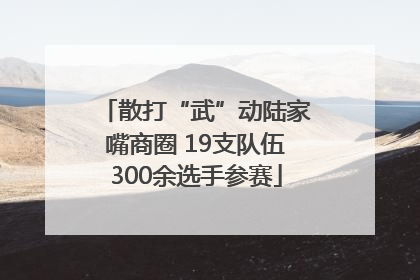 散打“武”动陆家嘴商圈 19支队伍300余选手参赛