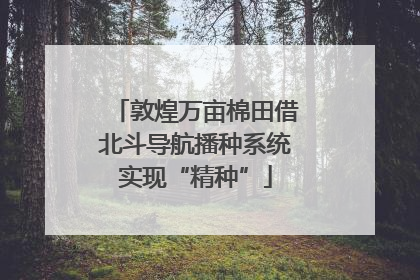 敦煌万亩棉田借北斗导航播种系统实现“精种”