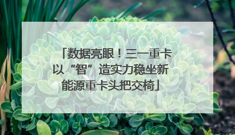 数据亮眼！三一重卡以“智”造实力稳坐新能源重卡头把交椅