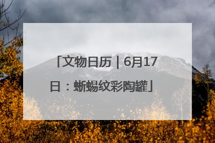 文物日历｜6月17日：蜥蜴纹彩陶罐