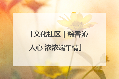 文化社区｜粽香沁人心 浓浓端午情