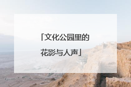 文化公园里的花影与人声