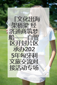 文化出海架桥梁 经济通商筑梦船——自贸区开封片区承办2025年匈牙利文旅交流对接活动专场
