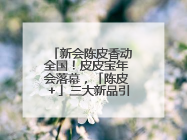 新会陈皮香动全国！皮皮宝年会落幕，「陈皮＋」三大新品引领产业升级