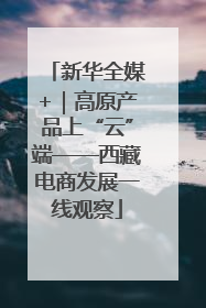 新华全媒+｜高原产品上“云”端——西藏电商发展一线观察