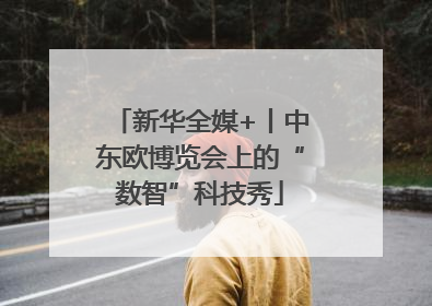 新华全媒+丨中东欧博览会上的“数智”科技秀