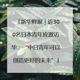 新华鲜报｜近300名日本青年应邀访华：“中日青年可以创造更好的未来”