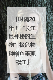 时隔20年！“长江最神秘的生物”极危物种鳤鱼重现赣江
