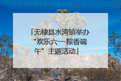 无棣县水湾镇举办“欢乐六一·粽香端午”主题活动