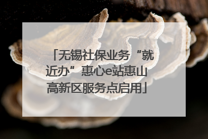 无锡社保业务“就近办”惠心e站惠山高新区服务点启用