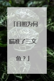 日照为何瞄准了三文鱼？