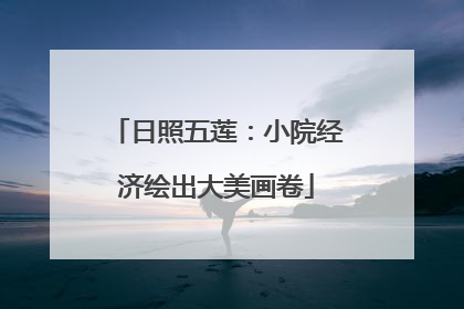 日照五莲：小院经济绘出大美画卷