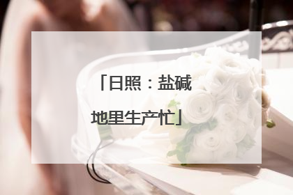 日照：盐碱地里生产忙