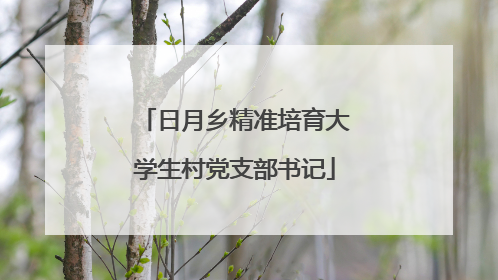 日月乡精准培育大学生村党支部书记