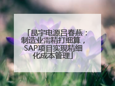 昆宇电源吕春燕：制造业需精打细算，SAP项目实现精细化成本管理