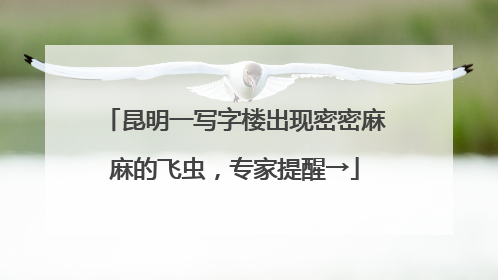 昆明一写字楼出现密密麻麻的飞虫，专家提醒→
