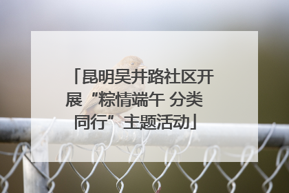 昆明吴井路社区开展“粽情端午 分类同行”主题活动